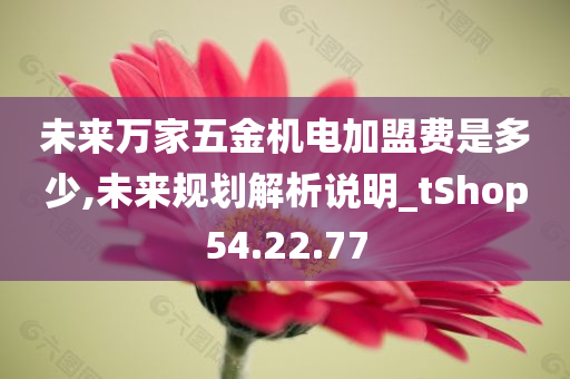 未来万家五金机电加盟费是多少,未来规划解析说明_tShop54.22.77