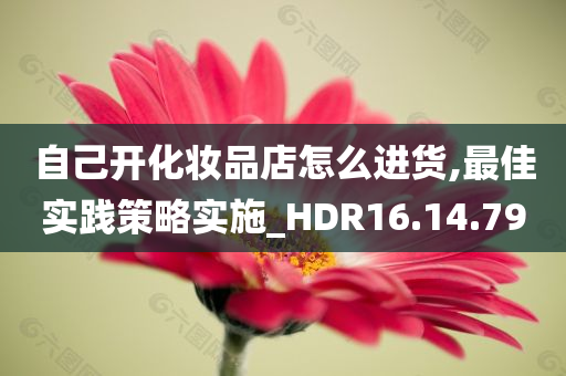 自己开化妆品店怎么进货,最佳实践策略实施_HDR16.14.79