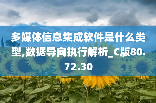 多媒体信息集成软件是什么类型,数据导向执行解析_C版80.72.30