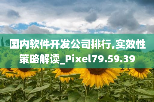 国内软件开发公司排行,实效性策略解读_Pixel79.59.39