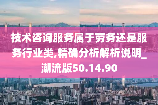 技术咨询服务属于劳务还是服务行业类,精确分析解析说明_潮流版50.14.90