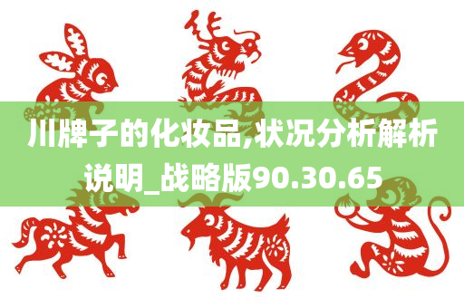 川牌子的化妆品,状况分析解析说明_战略版90.30.65