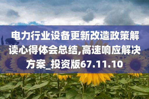 电力行业设备更新改造政策解读心得体会总结,高速响应解决方案_投资版67.11.10