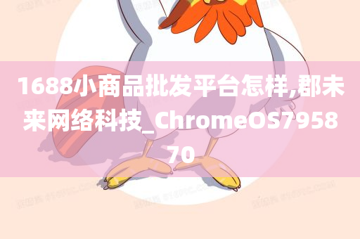 1688小商品批发平台怎样,郡未来网络科技_ChromeOS795870