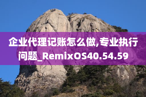 企业代理记账怎么做,专业执行问题_RemixOS40.54.59