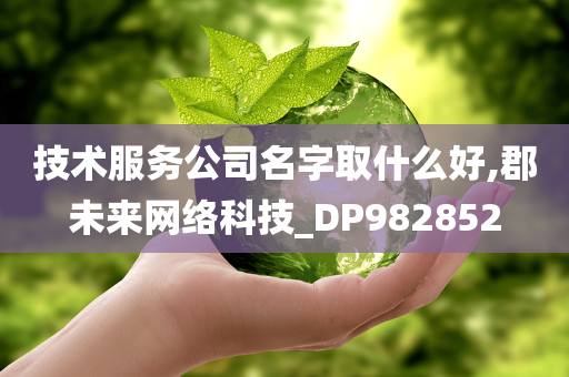 技术服务公司名字取什么好,郡未来网络科技_DP982852