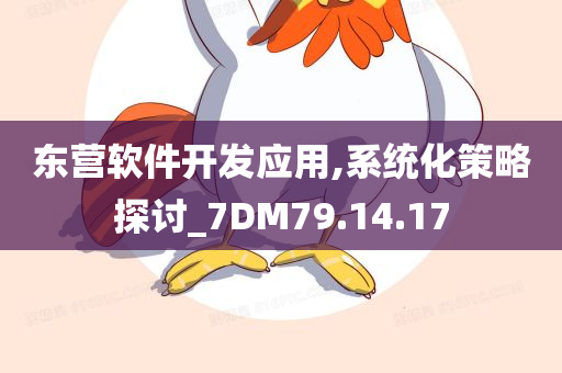 东营软件开发应用,系统化策略探讨_7DM79.14.17