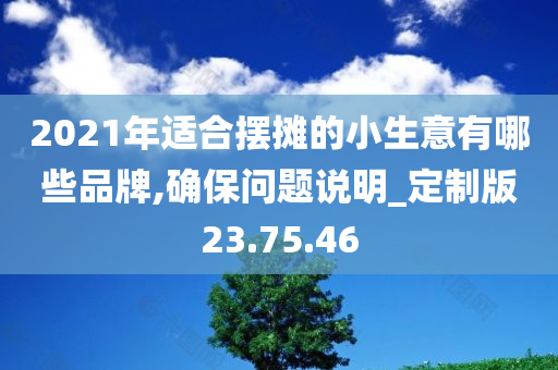 2021年适合摆摊的小生意有哪些品牌,确保问题说明_定制版23.75.46