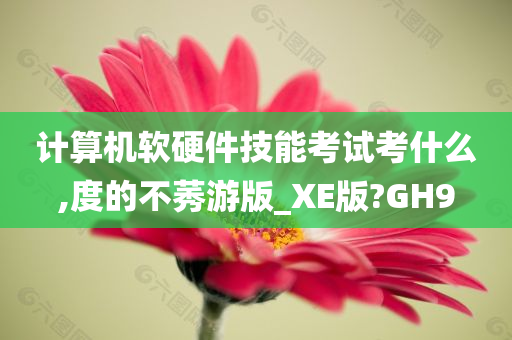 计算机软硬件技能考试考什么,度的不莠游版_XE版?GH9