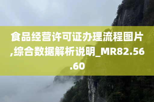 食品经营许可证办理流程图片,综合数据解析说明_MR82.56.60