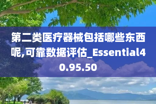 第二类医疗器械包括哪些东西呢,可靠数据评估_Essential40.95.50