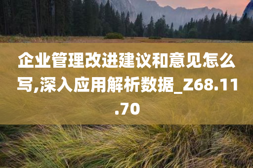 企业管理改进建议和意见怎么写,深入应用解析数据_Z68.11.70