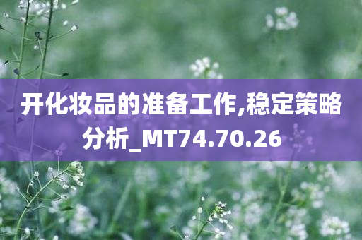 开化妆品的准备工作,稳定策略分析_MT74.70.26