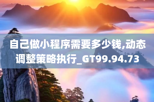 自己做小程序需要多少钱,动态调整策略执行_GT99.94.73