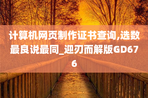 计算机网页制作证书查询,选数最良说最同_迎刃而解版GD676