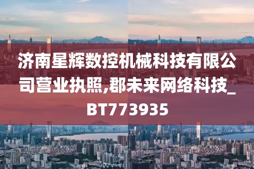 济南星辉数控机械科技有限公司营业执照,郡未来网络科技_BT773935