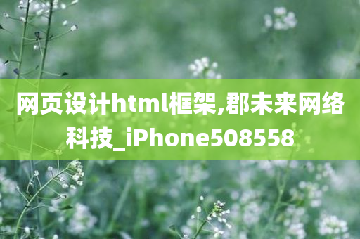 网页设计html框架,郡未来网络科技_iPhone508558