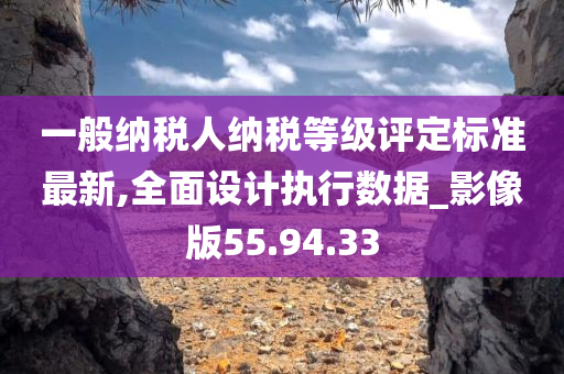 一般纳税人纳税等级评定标准最新,全面设计执行数据_影像版55.94.33