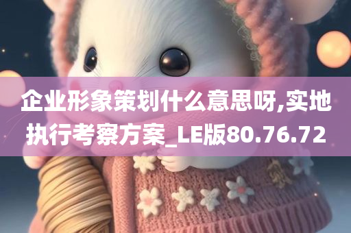 企业形象策划什么意思呀,实地执行考察方案_LE版80.76.72