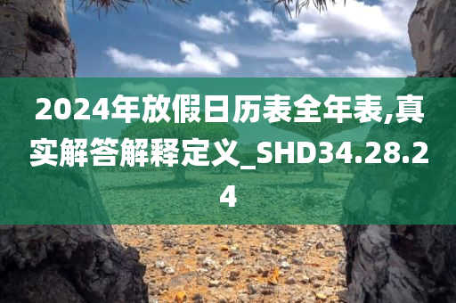 2024年放假日历表全年表,真实解答解释定义_SHD34.28.24