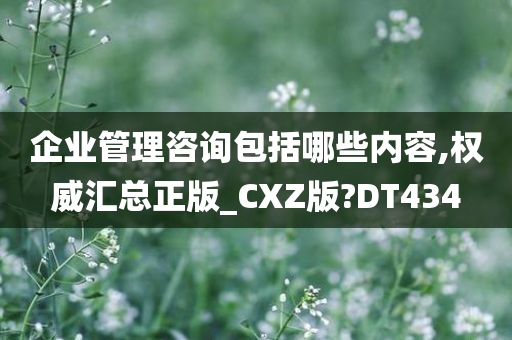 企业管理咨询包括哪些内容,权威汇总正版_CXZ版?DT434