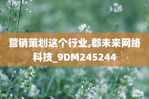 营销策划这个行业,郡未来网络科技_9DM245244