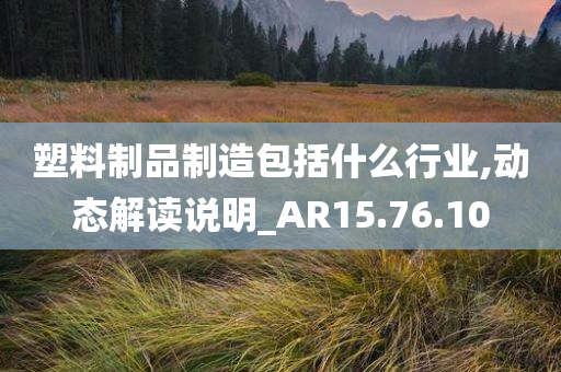 塑料制品制造包括什么行业,动态解读说明_AR15.76.10