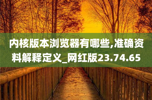 内核版本浏览器有哪些,准确资料解释定义_网红版23.74.65