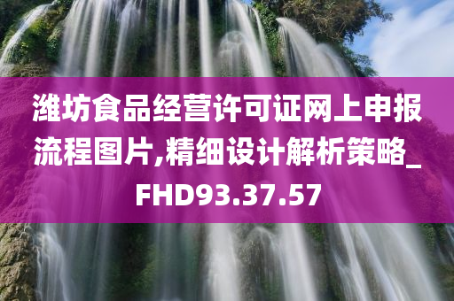 潍坊食品经营许可证网上申报流程图片,精细设计解析策略_FHD93.37.57