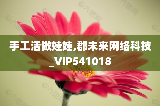 手工活做娃娃,郡未来网络科技_VIP541018