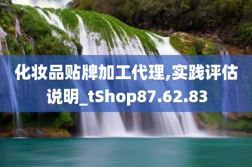 化妆品贴牌加工代理,实践评估说明_tShop87.62.83