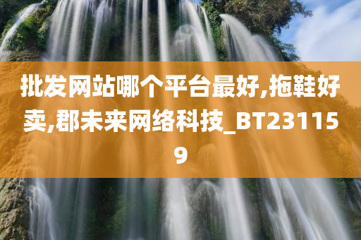 批发网站哪个平台最好,拖鞋好卖,郡未来网络科技_BT231159