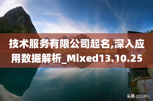 技术服务有限公司起名,深入应用数据解析_Mixed13.10.25