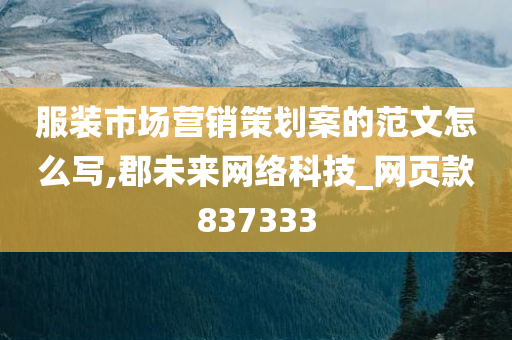 服装市场营销策划案的范文怎么写,郡未来网络科技_网页款837333