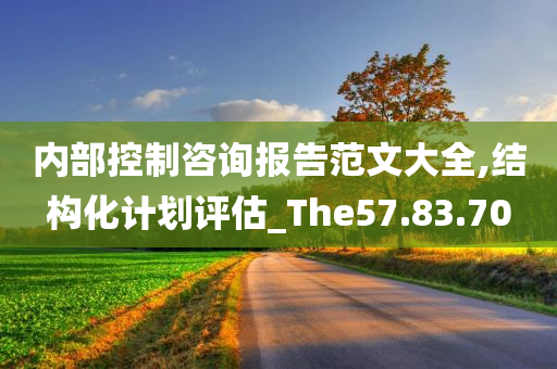 内部控制咨询报告范文大全,结构化计划评估_The57.83.70