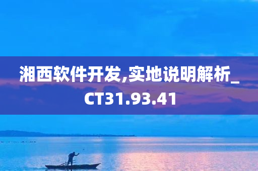 湘西软件开发,实地说明解析_CT31.93.41