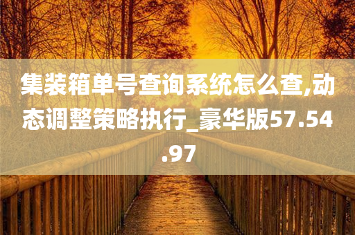 集装箱单号查询系统怎么查,动态调整策略执行_豪华版57.54.97