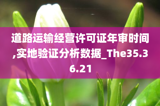 道路运输经营许可证年审时间,实地验证分析数据_The35.36.21