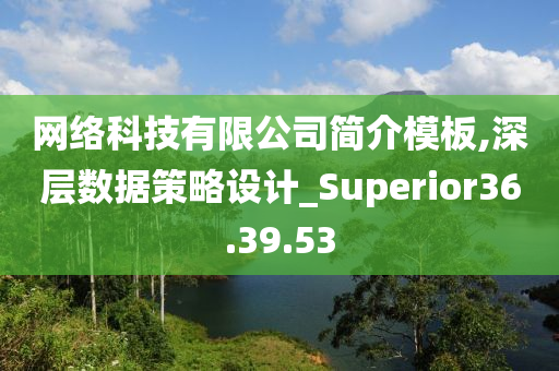 网络科技有限公司简介模板,深层数据策略设计_Superior36.39.53