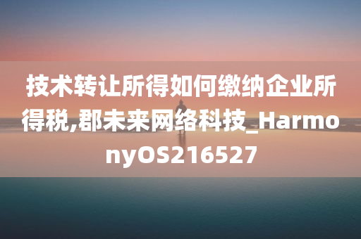 技术转让所得如何缴纳企业所得税,郡未来网络科技_HarmonyOS216527