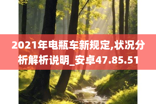 2021年电瓶车新规定,状况分析解析说明_安卓47.85.51