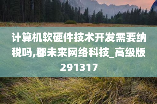 计算机软硬件技术开发需要纳税吗,郡未来网络科技_高级版291317