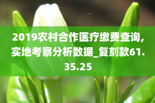 2019农村合作医疗缴费查询,实地考察分析数据_复刻款61.35.25