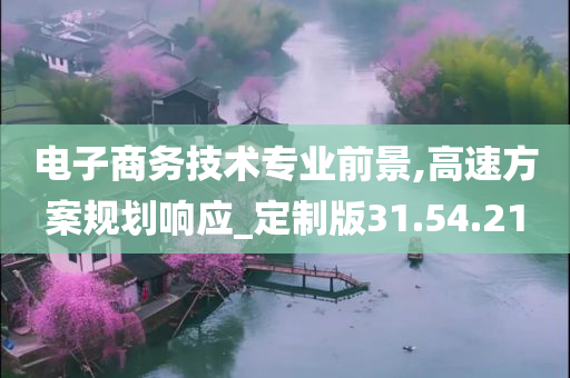 电子商务技术专业前景,高速方案规划响应_定制版31.54.21