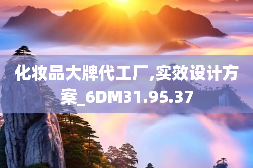 化妆品大牌代工厂,实效设计方案_6DM31.95.37