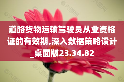 道路货物运输驾驶员从业资格证的有效期,深入数据策略设计_桌面版23.34.82