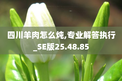 四川羊肉怎么炖,专业解答执行_SE版25.48.85