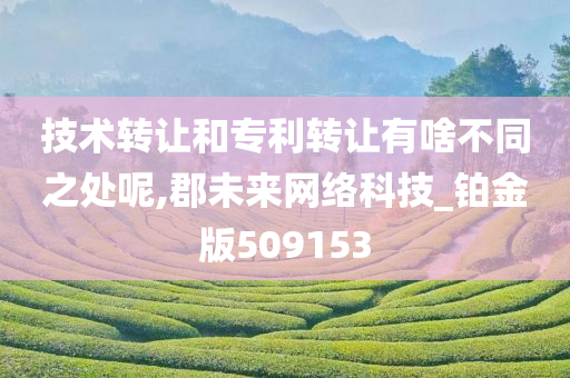 技术转让和专利转让有啥不同之处呢,郡未来网络科技_铂金版509153