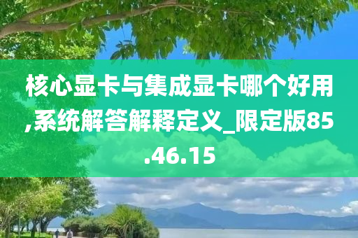 核心显卡与集成显卡哪个好用,系统解答解释定义_限定版85.46.15