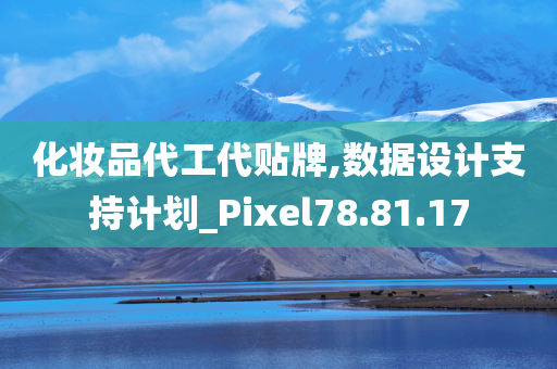 化妆品代工代贴牌,数据设计支持计划_Pixel78.81.17